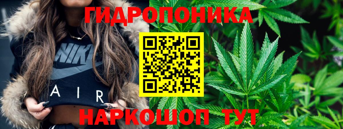 Конопля сатива  Бошки марихуана конопля  Орск  Вход с VPN  Конопля Bruce Banner 